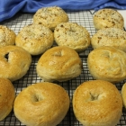 Will Blog for Bagels!