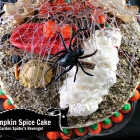 Pumpkin Spice Cake (Garden Spider's Revenge)